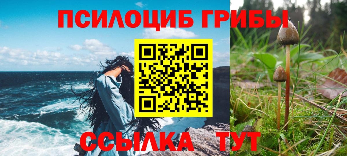 Псилоцибиновые грибы мухоморы Новосибирск