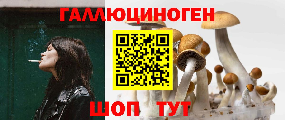 Новосибирск  Псилоцибиновые грибы ЛСД  Вход с VPN 